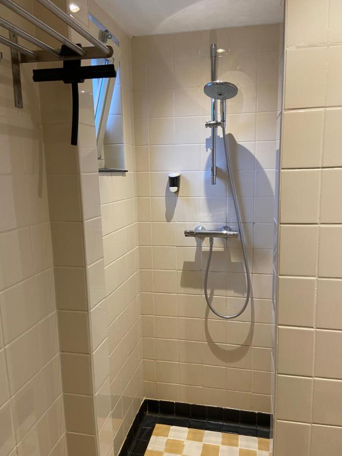 De Lage Zwaluw